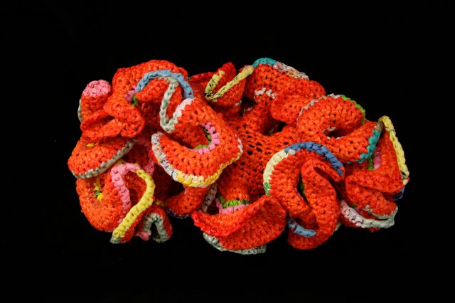 Crochet Coral Reef 2019